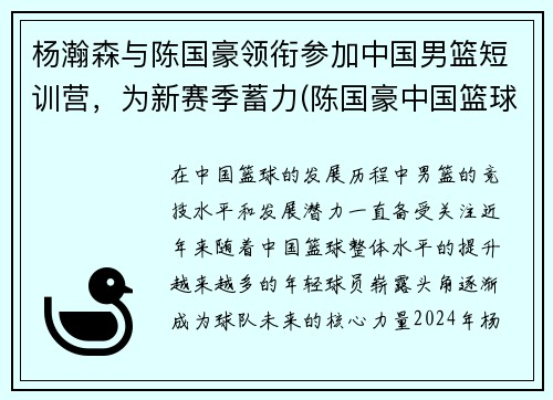 杨瀚森与陈国豪领衔参加中国男篮短训营，为新赛季蓄力(陈国豪中国篮球运动员)
