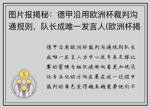 图片报揭秘：德甲沿用欧洲杯裁判沟通规则，队长成唯一发言人(欧洲杯揭幕战主裁判)